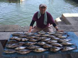 おざき丸 釣果