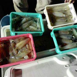 第二大福丸 釣果