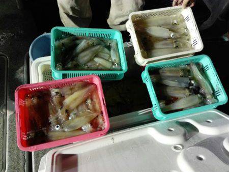 第二大福丸 釣果