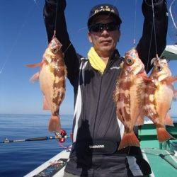 第二むつ漁丸 釣果