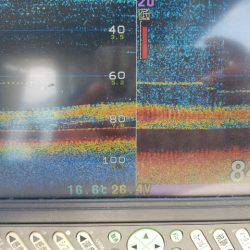 遊漁船 ニライカナイ 釣果