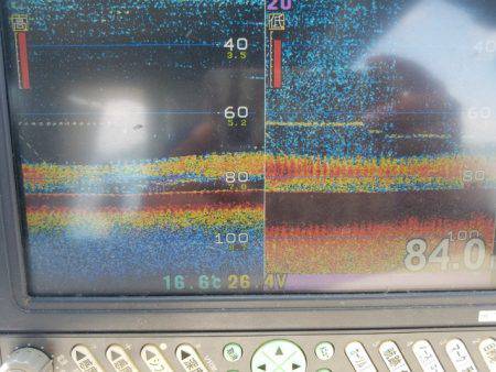 遊漁船 ニライカナイ 釣果
