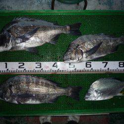 海山フィッシングセンター 釣果