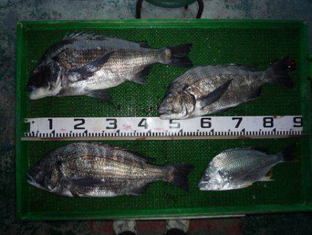 海山フィッシングセンター 釣果