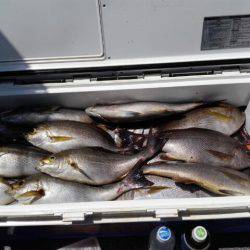 第二大福丸 釣果