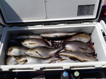 第二大福丸 釣果