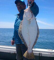 IDATEN（イダテン） 釣果