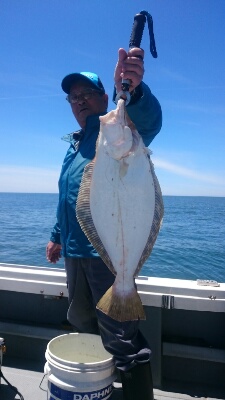 IDATEN（イダテン） 釣果