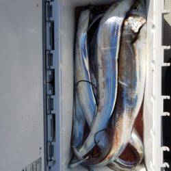 遊漁船 ニライカナイ 釣果