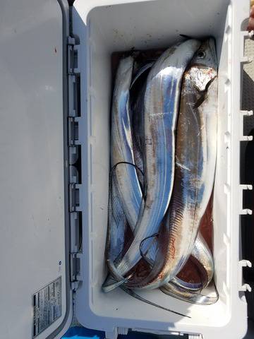 遊漁船 ニライカナイ 釣果