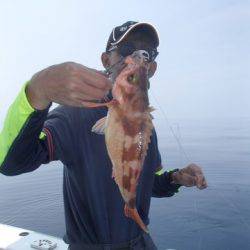 第二むつ漁丸 釣果