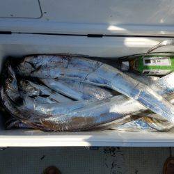 遊漁船 ニライカナイ 釣果