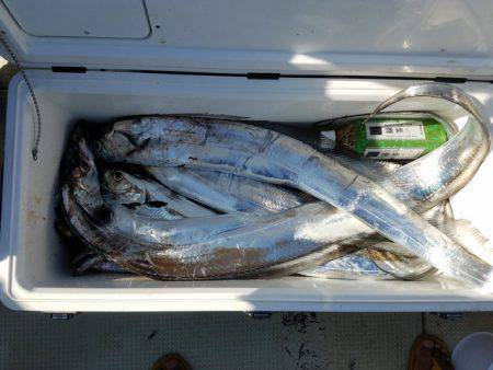 遊漁船 ニライカナイ 釣果