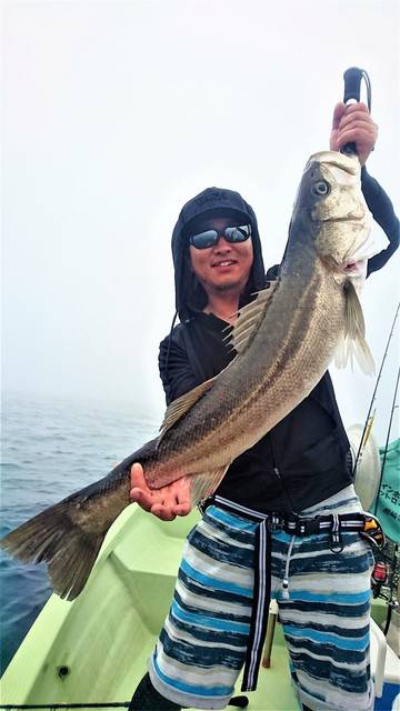 気仙沼　つり丸 釣果