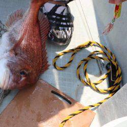 スカイマリン 釣果