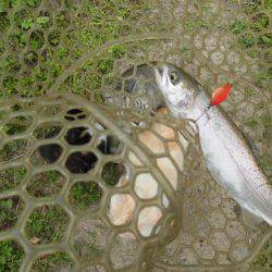 OLAHO　FISHING SPOT 釣果