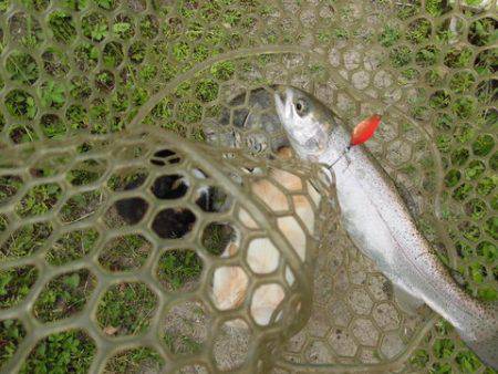 OLAHO　FISHING SPOT 釣果…