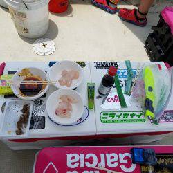 遊漁船　ニライカナイ 釣果