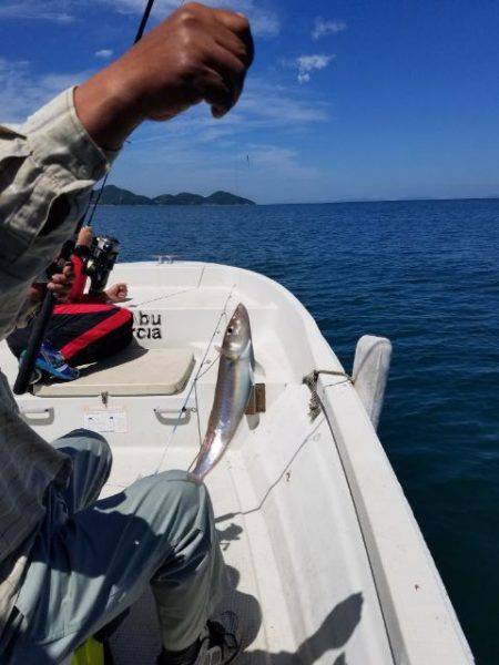 Magic（マジック） 釣果