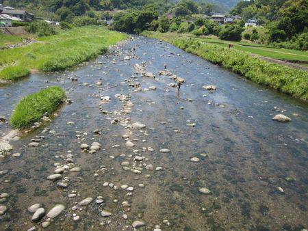 狩野川(狩野川漁業協同組合) 釣果