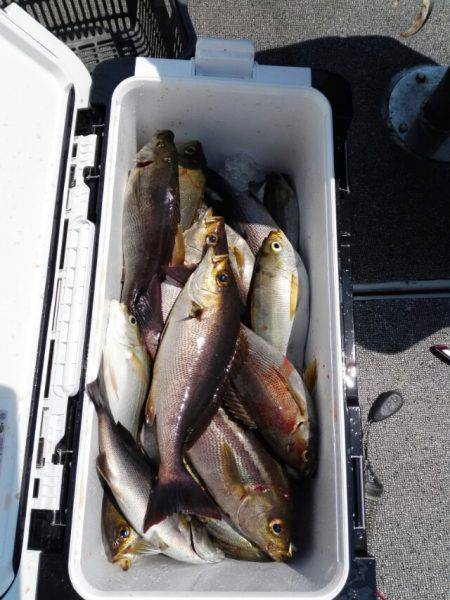 第二大福丸 釣果