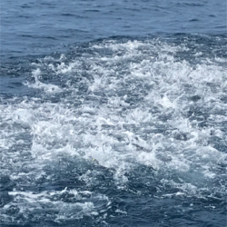 へいみつ丸 釣果