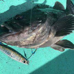 広進丸 釣果