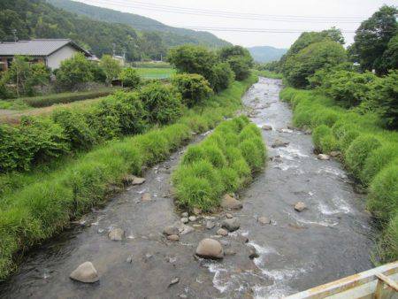 狩野川（狩野川漁業協同組合） 釣果