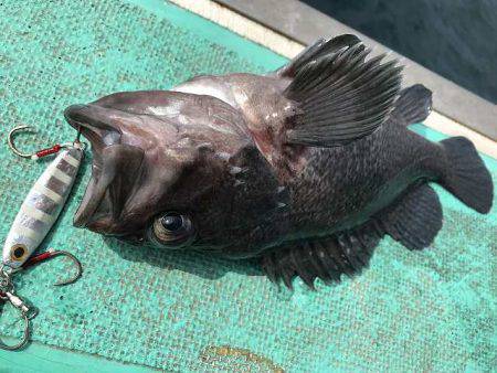 広進丸 釣果