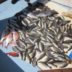 第十八吉栄丸 釣果