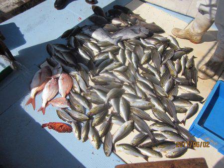 第十八吉栄丸 釣果