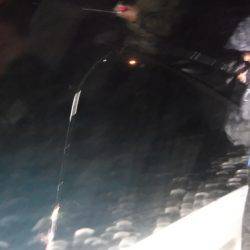 ＢｌｕｅＮｏｔｅ　Ｆｉｓｈｉｎｇ　Ｔａｘｉ 釣果