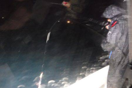 ＢｌｕｅＮｏｔｅ　Ｆｉｓｈｉｎｇ　Ｔａｘｉ 釣果