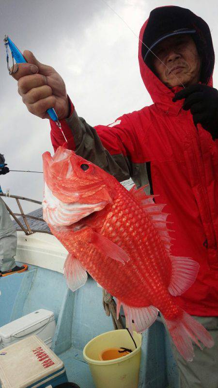香織丸 釣果