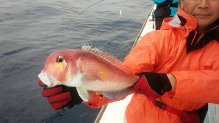 香織丸 釣果