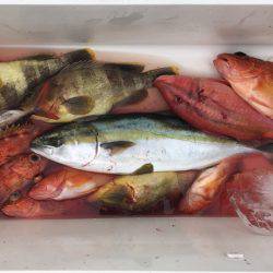 BlueOcean（ブルーオーシャン） 釣果