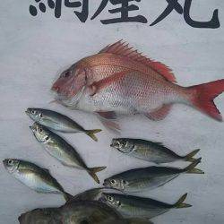 網屋丸 釣果