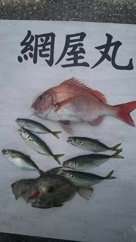網屋丸 釣果