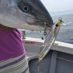 シーモンキー 釣果