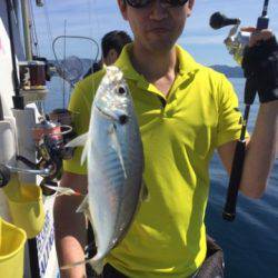 シーモンキー 釣果