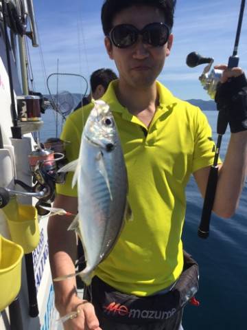 シーモンキー 釣果