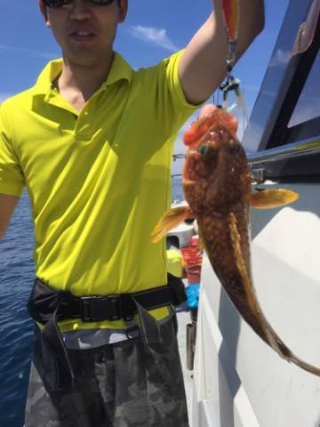 シーモンキー 釣果