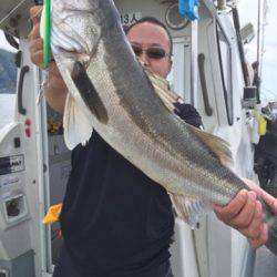 シーモンキー 釣果