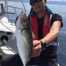 シーモンキー 釣果