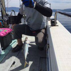 シーモンキー 釣果