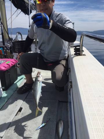 シーモンキー 釣果