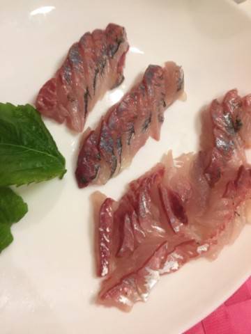 シーモンキー 釣果