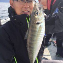 シーモンキー 釣果