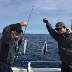 シーモンキー 釣果