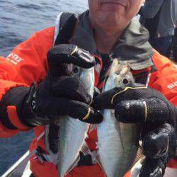 シーモンキー 釣果